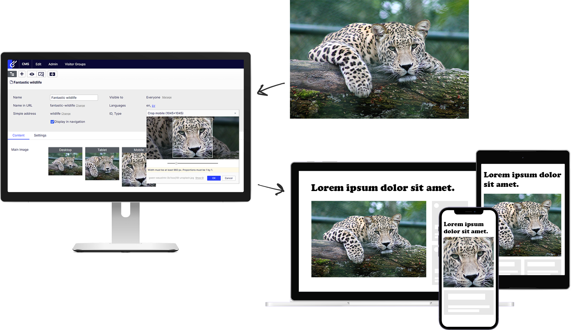 Adaptive Images for Optimizely, from large original to responsive design